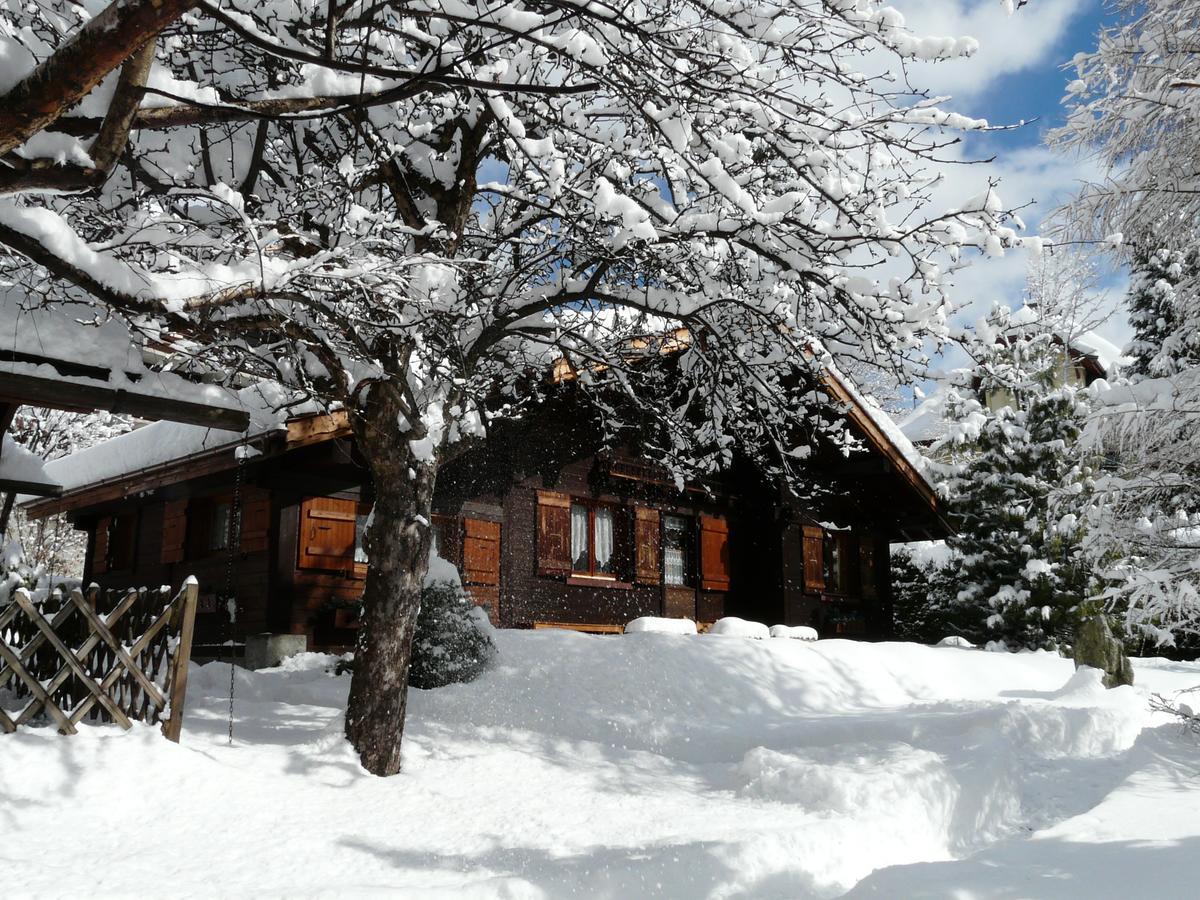 Chalet Des Glaciers Chamonix Buitenkant foto