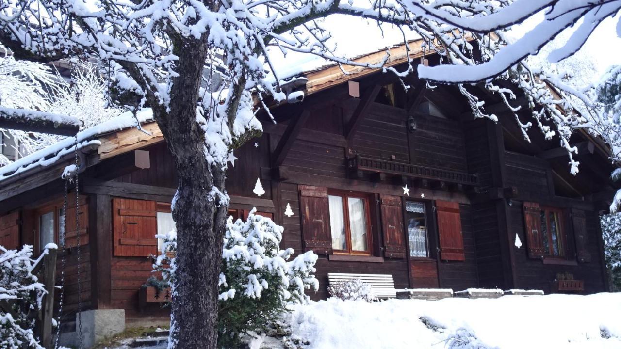 Chalet Des Glaciers Chamonix Buitenkant foto